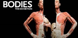 Body The Exhibition