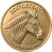 Zoo ostrava- Zebra